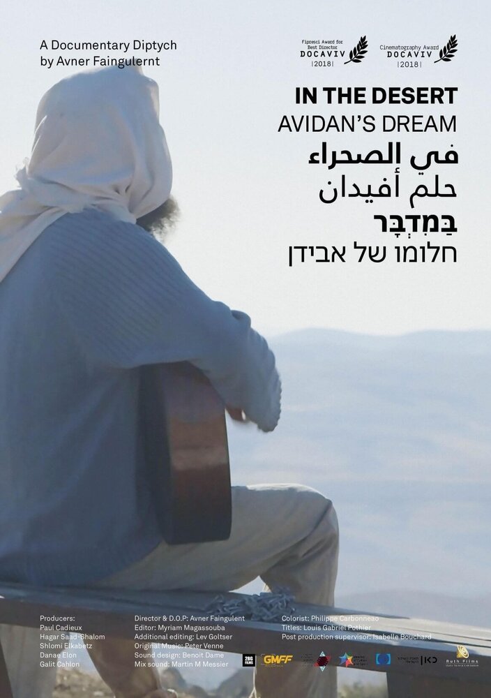 In the Desert - A Documentary Diptych: Avidan's Dream (2018) постер